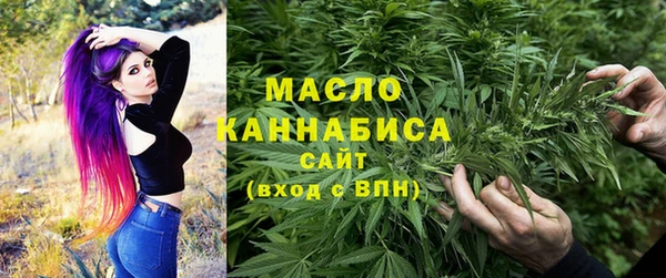 тгк Новозыбков
