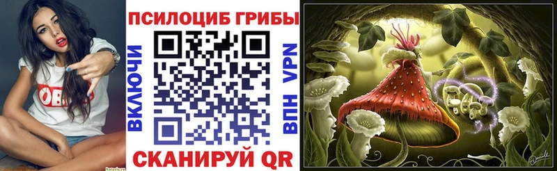 Галлюциногенные грибы Psilocybe  MEGA как войти  Болгар 